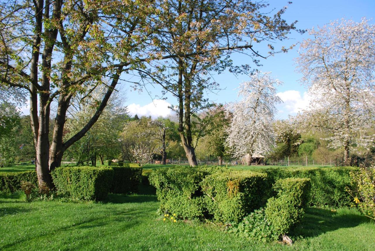 Gites Aux Fleurs De Cerises Le Plessis-Luzarches Exterior photo